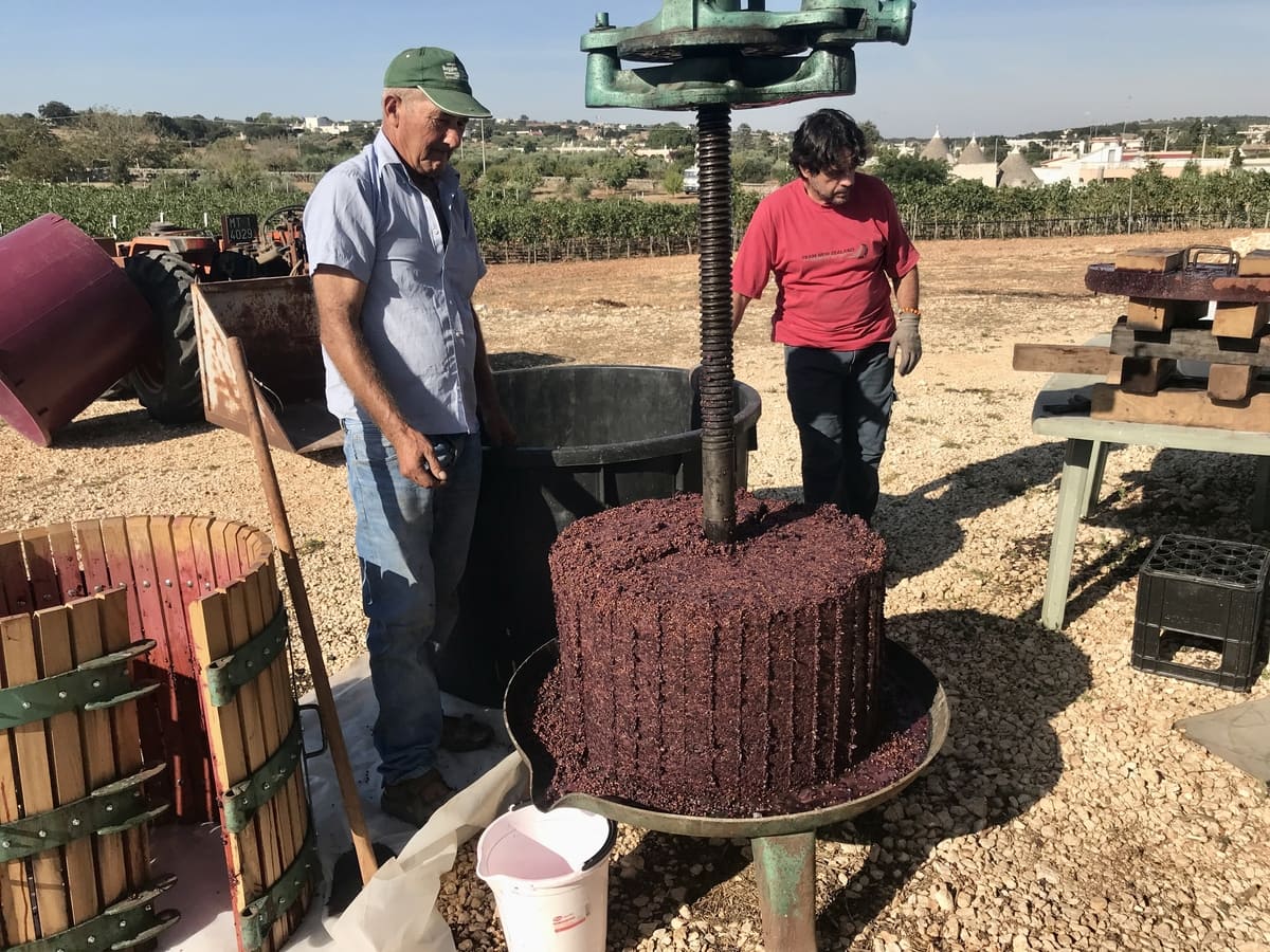 Podere del Trullo 005