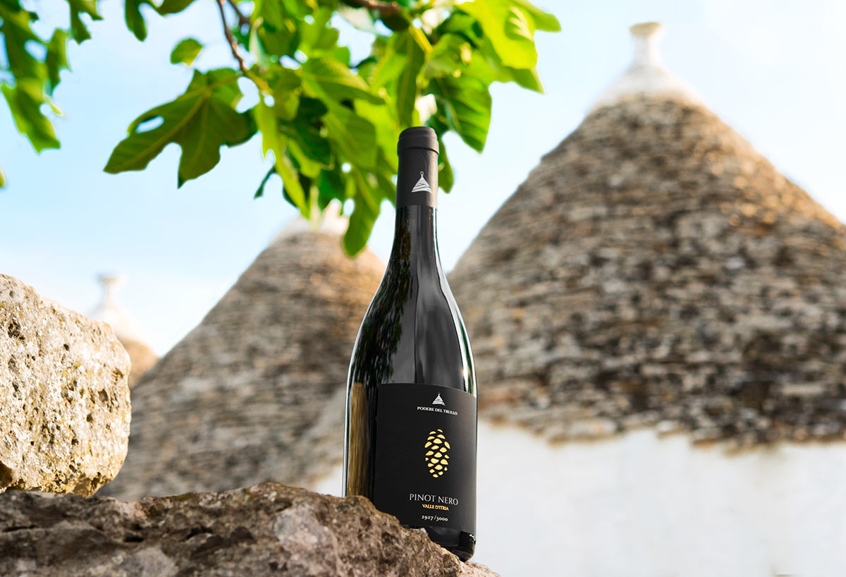 Poderedeltrullo-Pinot-Nero-5